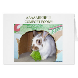 AAAAHHHH! Komfort-Nahrung!