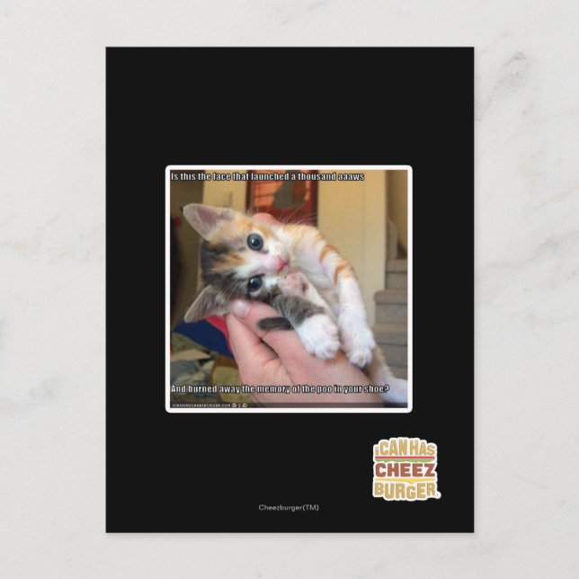 Aaaws Postkarte (Vorderseite)