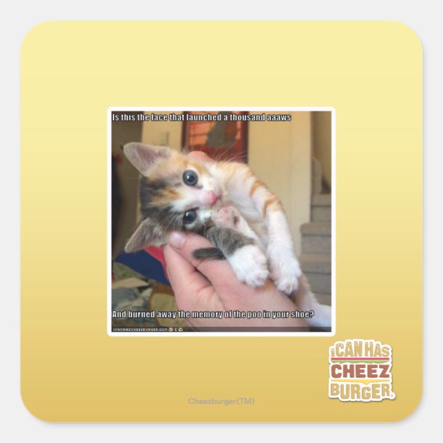 Aaaws Quadratischer Aufkleber (Vorderseite)