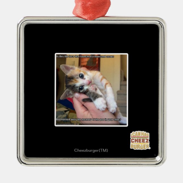 Aaaws Silbernes Ornament (Vorne)