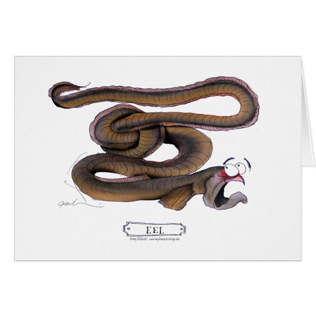 Aal, tony fernandes (Vorderseite (Horizontal))