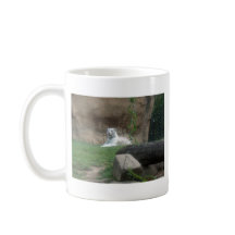 Aalender weißer Tiger