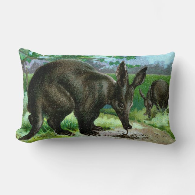 Aardvark, der Ameisen isst Lendenkissen (Vorderseite)