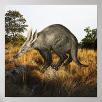 Aardvark