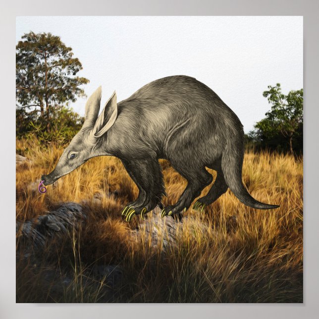 Aardvark Poster (Vorne)