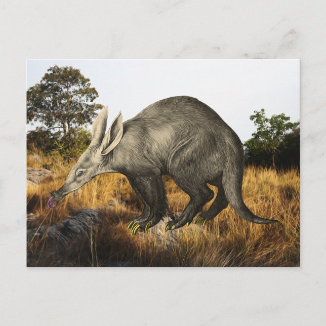 Aardvark Postkarte (Vorderseite)