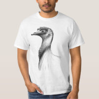 Aart Emu