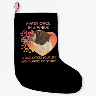 Ab und zu betritt ein Hund das Leben Kleiner Weihnachtsstrumpf