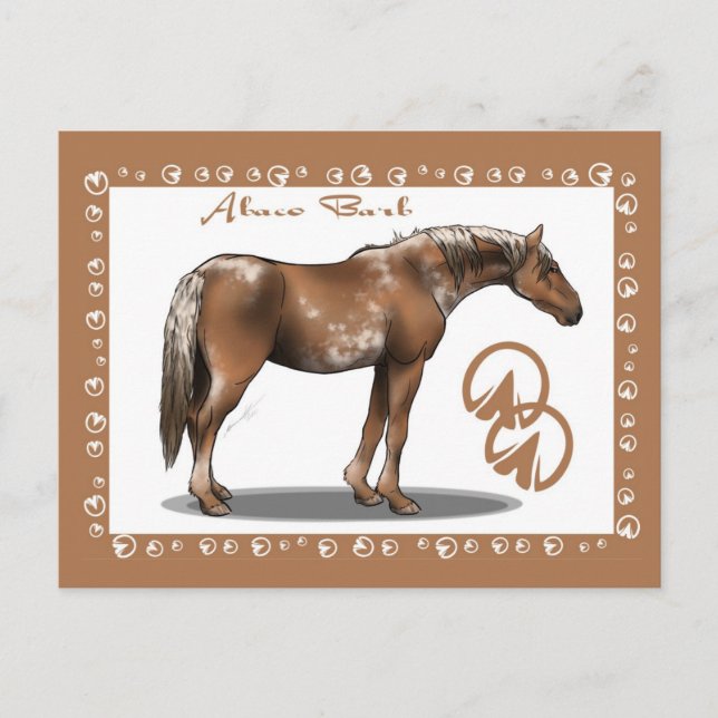 Abaco Barb Postkarte (Vorderseite)