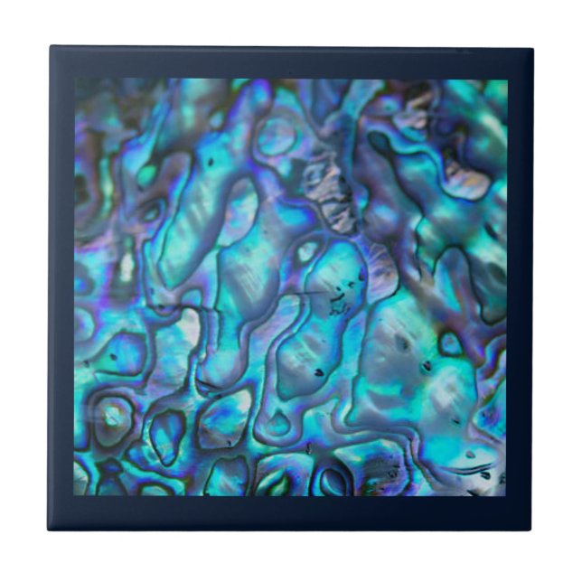 Abalone Keramik Tile/Untersetzer Fliese (Vorderseite)