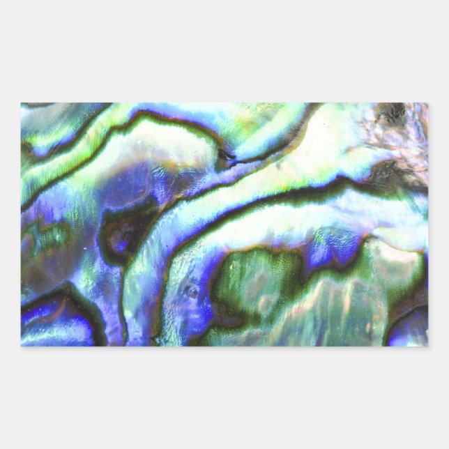 Abalone Muschel green paua Rechteckiger Aufkleber (Vorderseite)