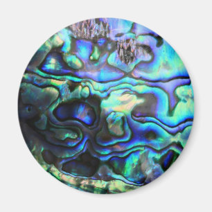 Abalone paua Muschel Magnet