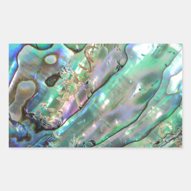 Abalone Rechteckiger Aufkleber (Vorderseite)