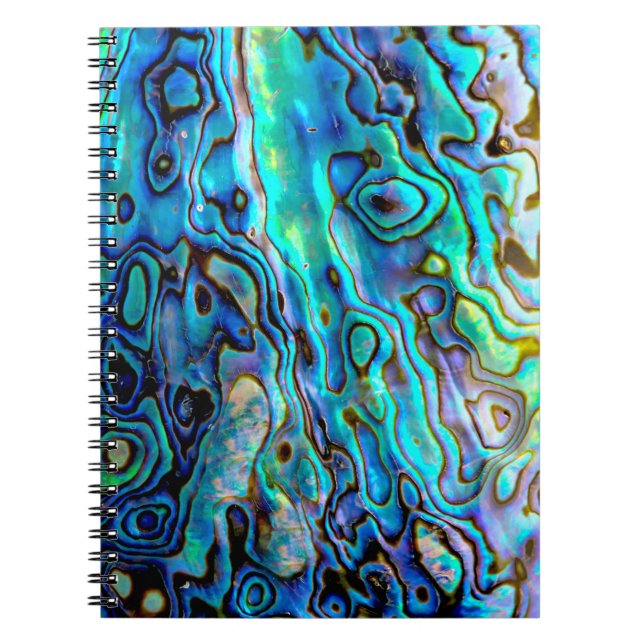 Abalone shell notizblock (Vorderseite)