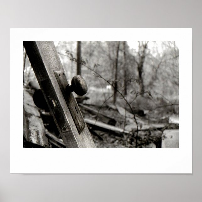 Abandoned Door in the Woods Poster (Vorne)