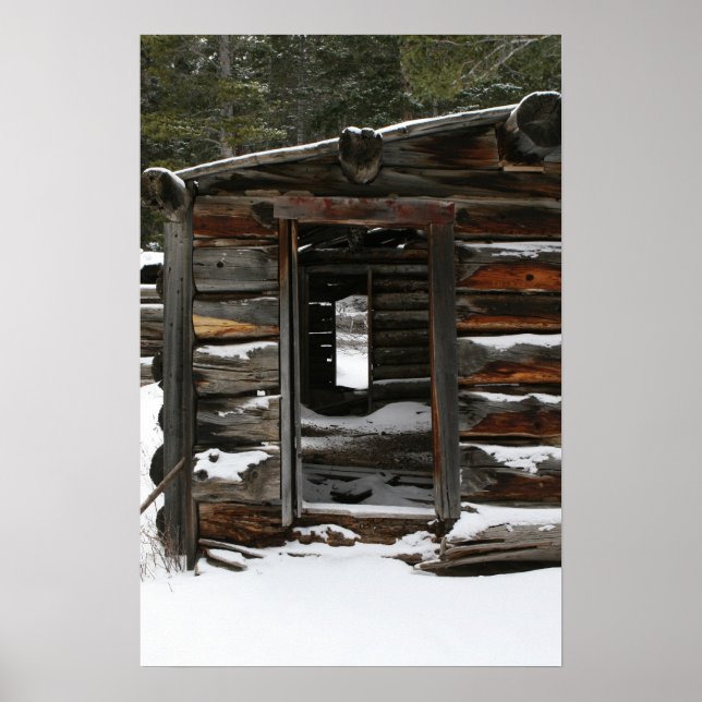 Abandoned Log Cabin, Colorado Poster (Vorne)