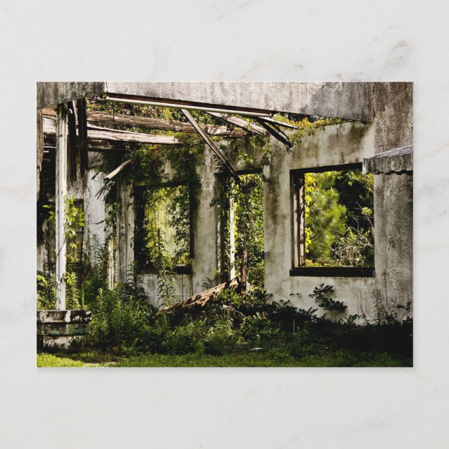 Abandoned motel old Florida Postkarte (Vorderseite)
