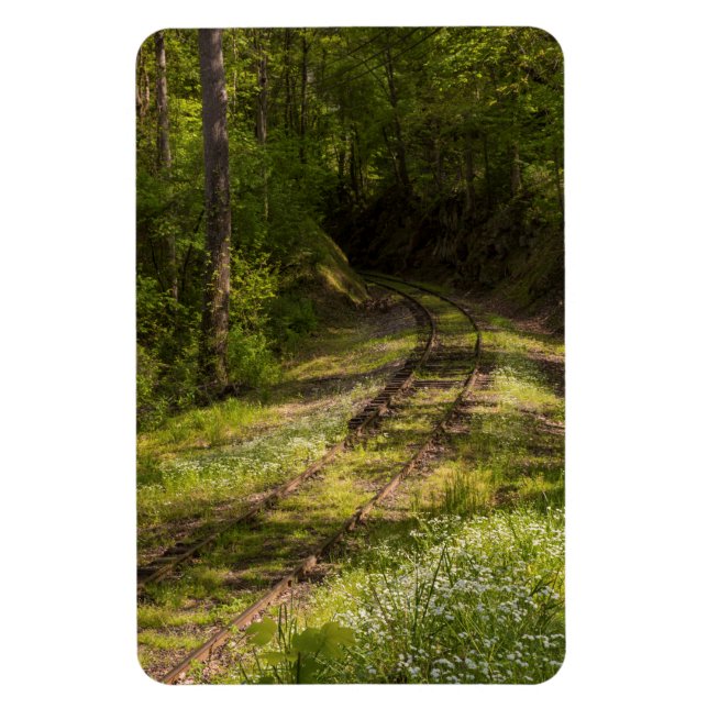 Abandoned Railroad In A Forest Magnet (Vertikal)