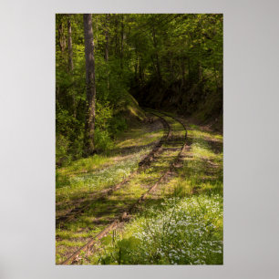 Abandoned Railroad In A Forest Poster