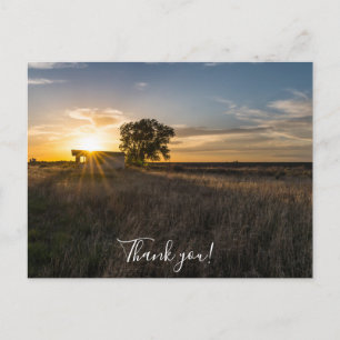 Abandoned Shed Colorado Sunset Danke Postcard Postkarte