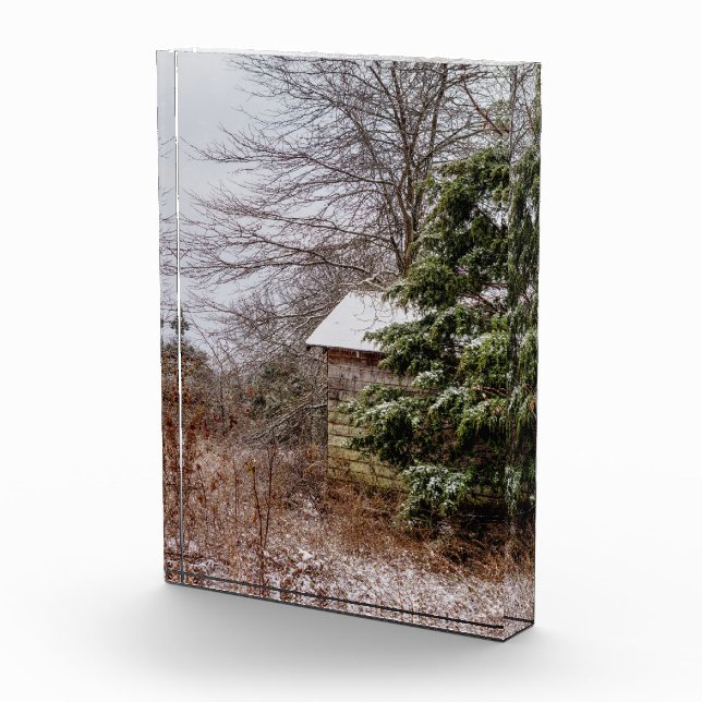 Abandoned Shed Fotoblock (Rechts)
