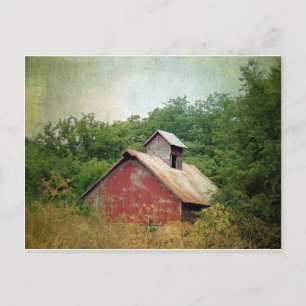 Abandoniert und überwuchert postkarte