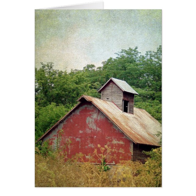 Abandonierte und übergewachsene rote Scheune (Vorne)
