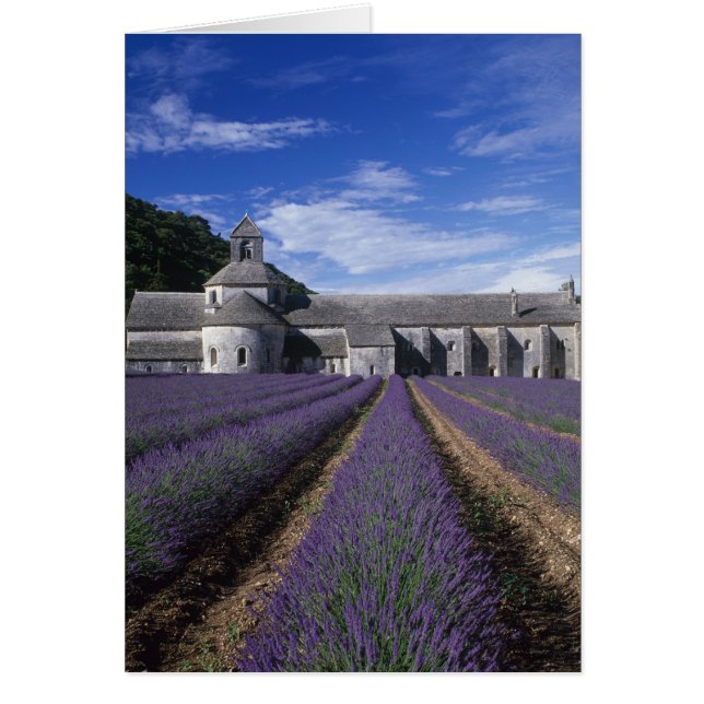 Abbaye de Sénanque, Gordes, Vaucluse, Provence, (Devant)