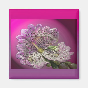 Abberger Foxglove Magnet