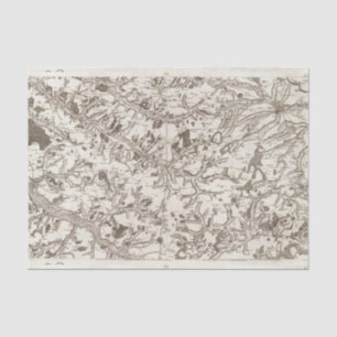 Abbeville Seidenpapier