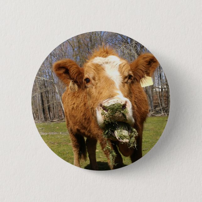 Abbildung 001 button (Vorderseite)