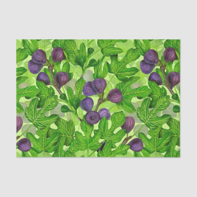 Abbildung 2 seidenpapier (Vorderseite)