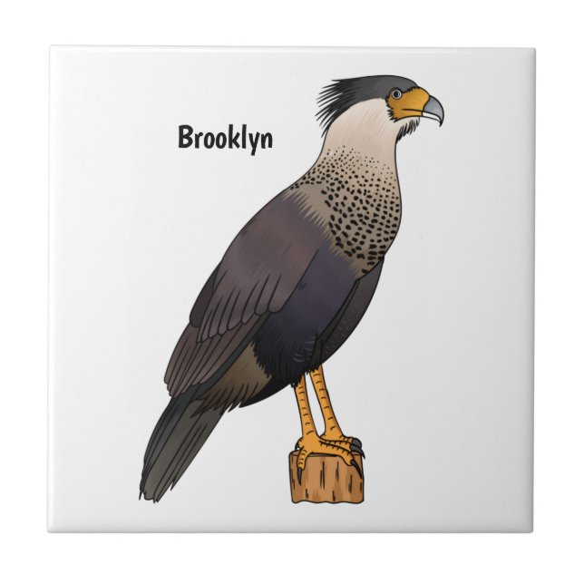 Abbildung des Cartoon von entzückten Caracara-Vöge Fliese (Vorderseite)