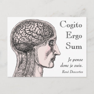 Abbildung des menschlichen Gehirns Cogito Ergo Sum Postkarte