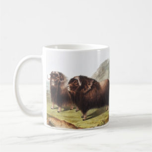 Abbildung Ox (Ovibos moschatus) Kaffeetasse