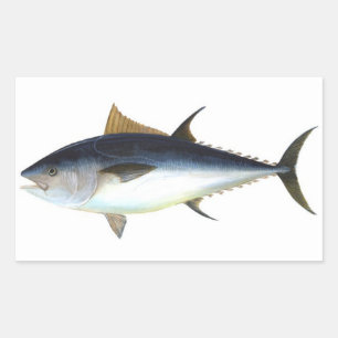 Abbildung Roter Thun Rechteckiger Aufkleber