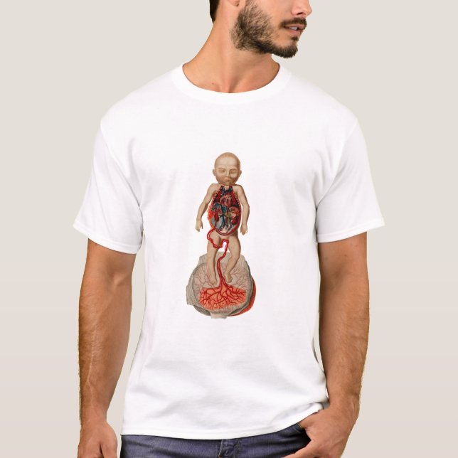 Abbildungen zur Blutzirkulation des Fetus T-Shirt (Vorderseite)