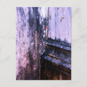 Abblätternde Farbe am Türrahmen Postkarte