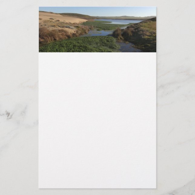 Abbotts Lagoon I an Point Reyes National Seashore Briefpapier (Vorderseite)