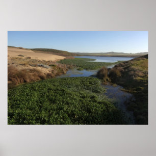 Abbotts Lagoon I an Point Reyes National Seashore Poster