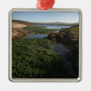 Abbotts Lagune I im Point Reyes National Seashore Ornament Aus Metall