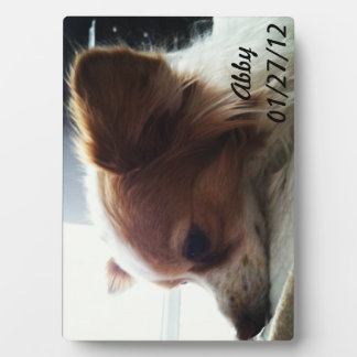 Abby 2012 fotoplatte