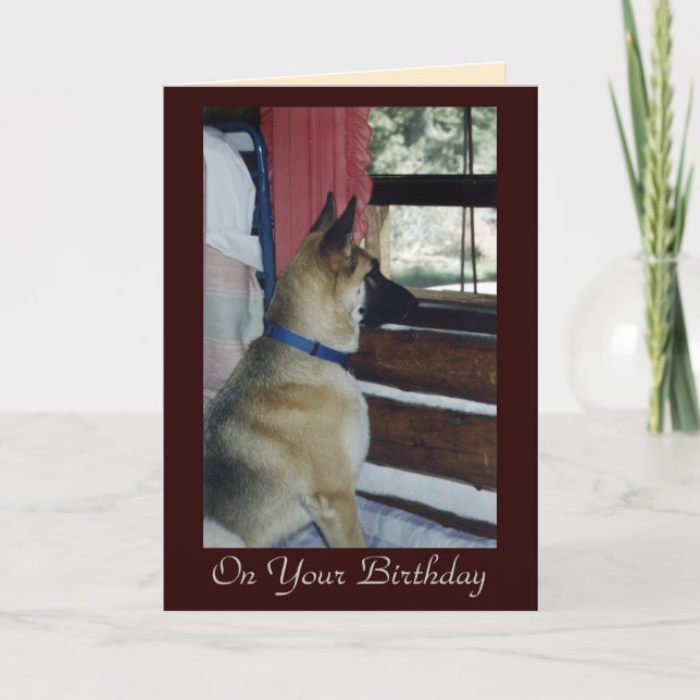 Abby attend la carte d'anniversaire (Devant)