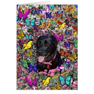 Abby dans la carte de papillons - Labrador noir