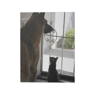 Abby mit Zorro vor der Tür Notepad Notizblock