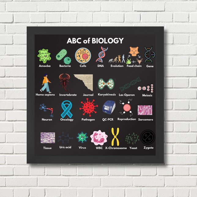 ABC der Biologie Poster (Von Creator hochgeladen)