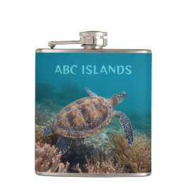 Abc-Insel-Schildkröte Flachmann