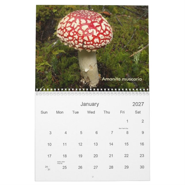 Abdeckung, Pilze des Nordwestens Kalender (Jan 2027)