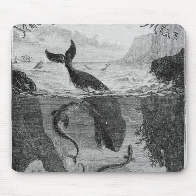 Abdeckungs-Illustration '20.000 Ligen unter dem Mousepad (Vorne)