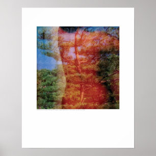 Abdeckungskunst - Baum und Rückseite - Griego Poster